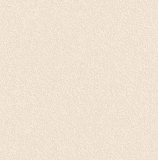 Oasis Tiles – Granite Series (60×60 cm | Full Body Vitrified)