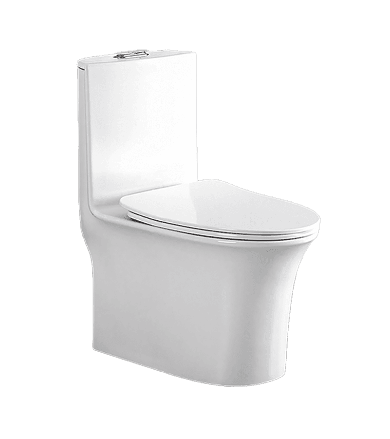 Aqualine 543 One Piece Water Closet (EWC)